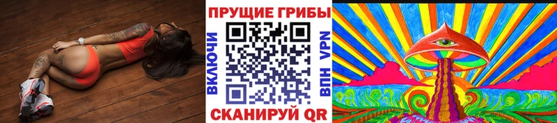 Галлюциногенные грибы Cubensis  Купить закладки  Дмитровск 